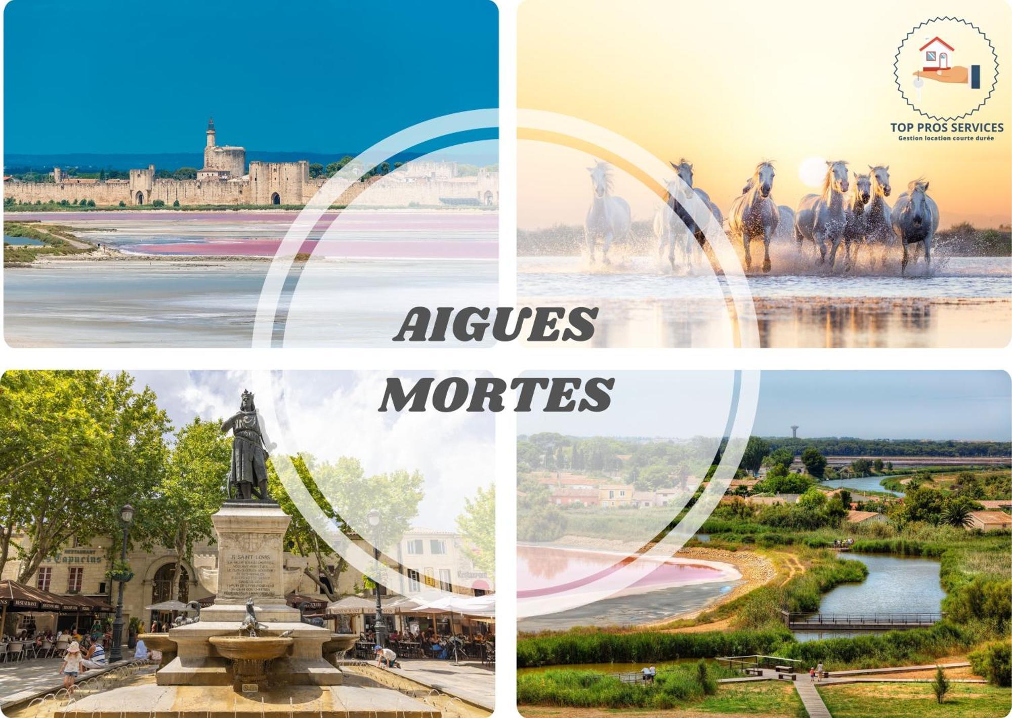 Les Marines Port 2 Min Plage Camargue- Top Pros Services Conciergerie La Grande Motte موجيو المظهر الخارجي الصورة